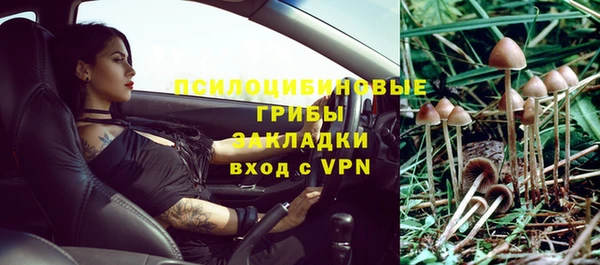 трава Абаза