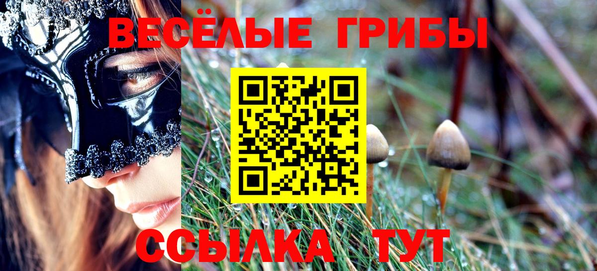 Псилоцибиновые грибы Cubensis Карасук