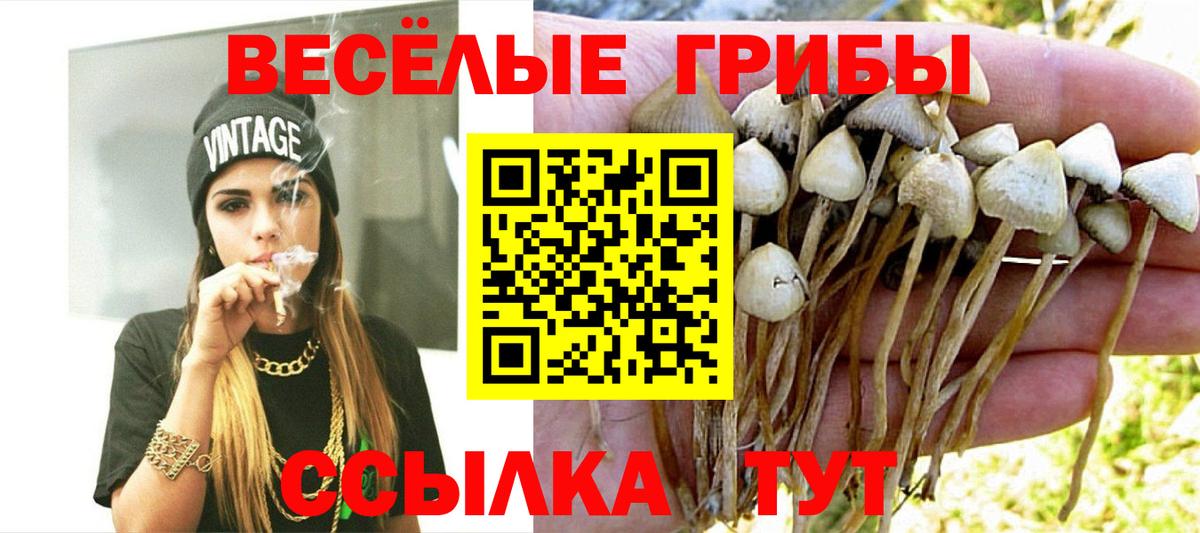 Карасук  Галлюциногенные грибы Psilocybine cubensis  Вход с VPN 